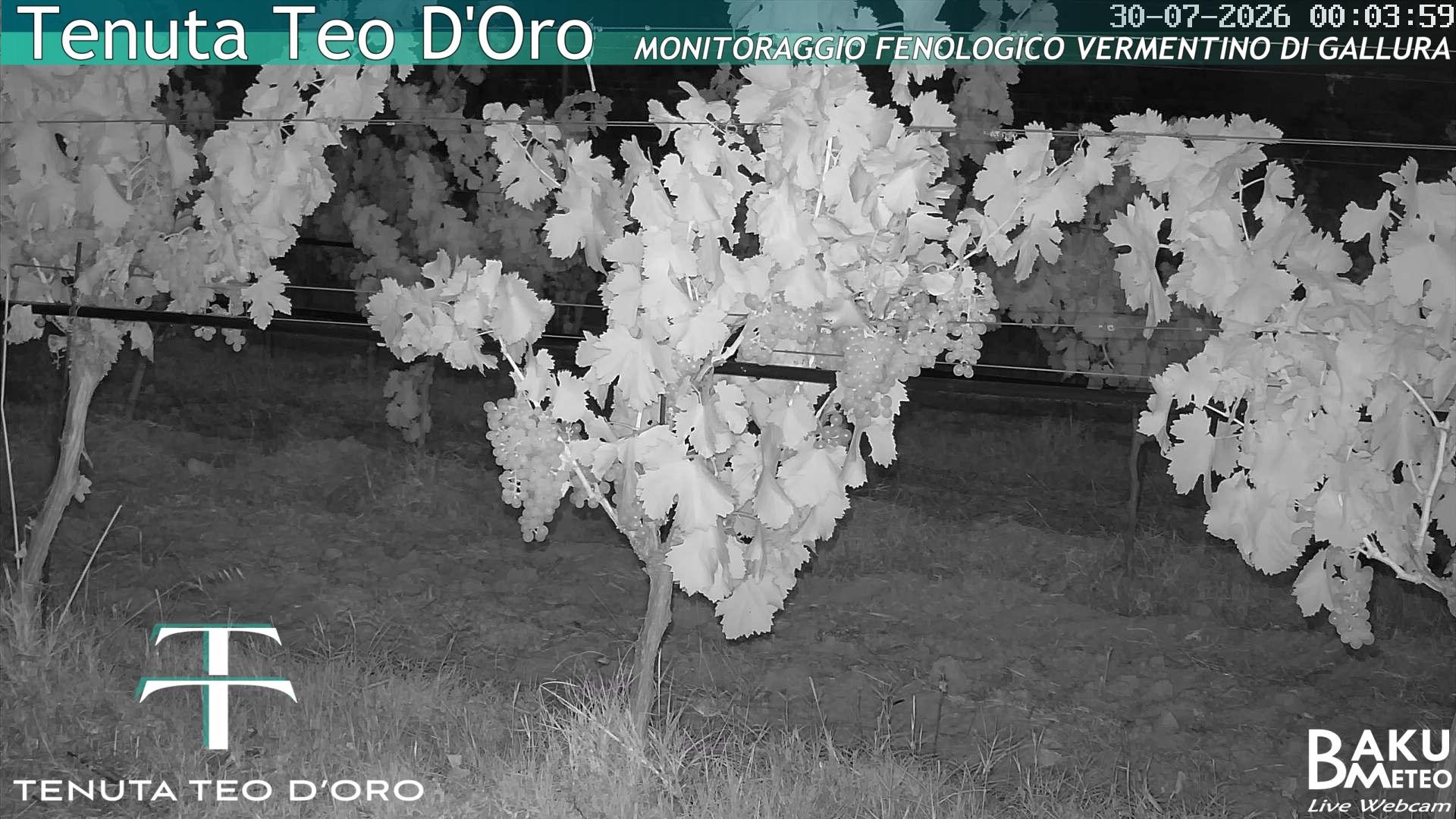 time-lapse frame, Teodoro webcam