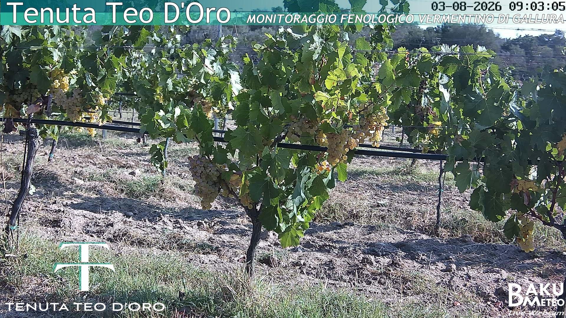 time-lapse frame, Teodoro webcam