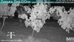 view from Teodoro on 2026-08-04