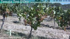 view from Teodoro on 2026-08-16