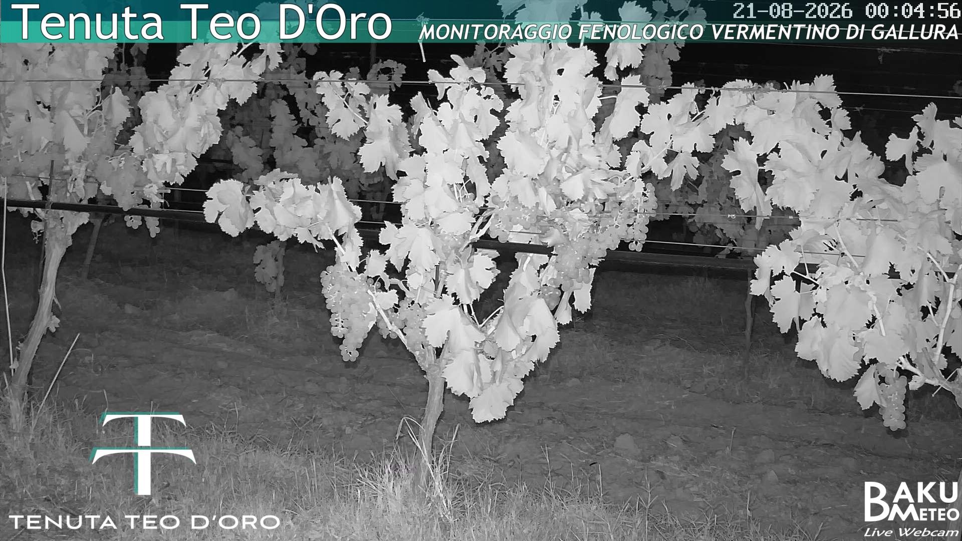 time-lapse frame, Teodoro webcam