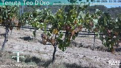 view from Teodoro on 2026-08-25