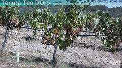 view from Teodoro on 2026-08-25