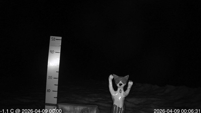 time-lapse frame, snowstump webcam