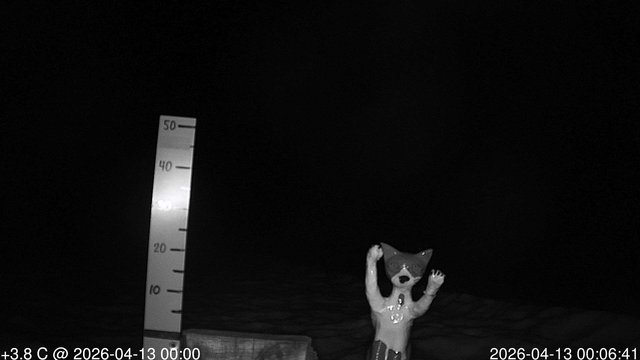 time-lapse frame, snowstump webcam