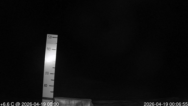 time-lapse frame, snowstump webcam