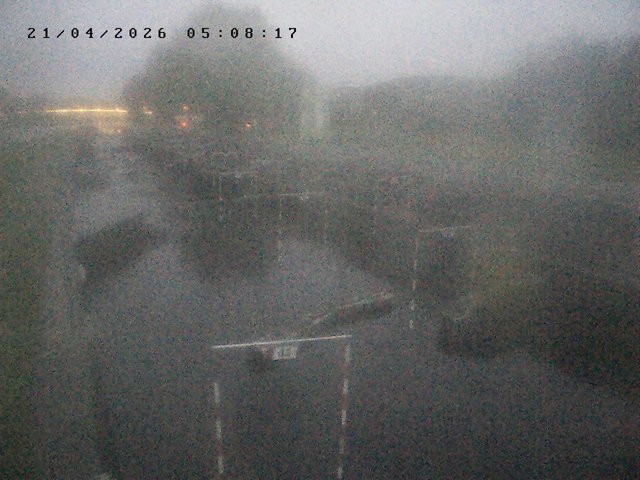 time-lapse frame, Troja - bottom webcam