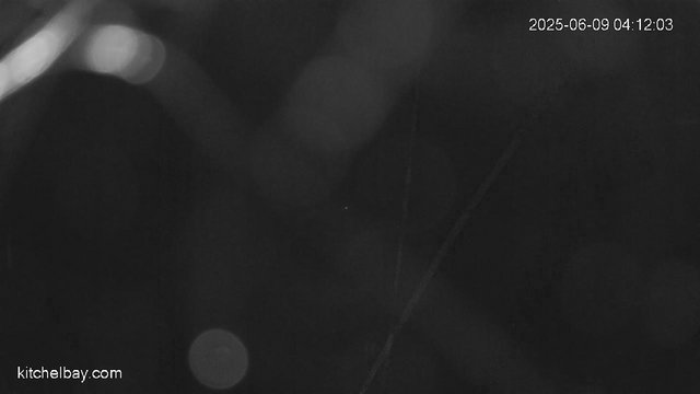 time-lapse frame, kitchelbay.com webcam