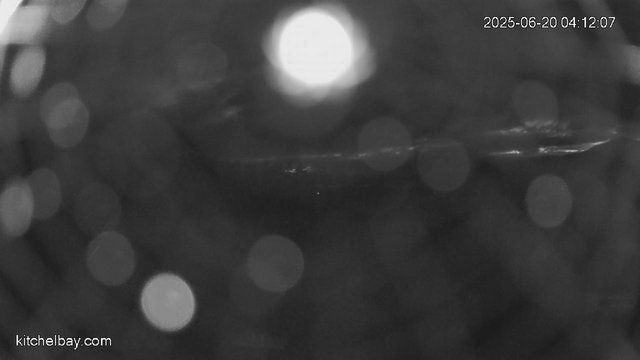 time-lapse frame, kitchelbay.com webcam