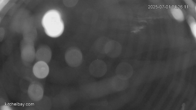 kitchelbay.com animated GIF