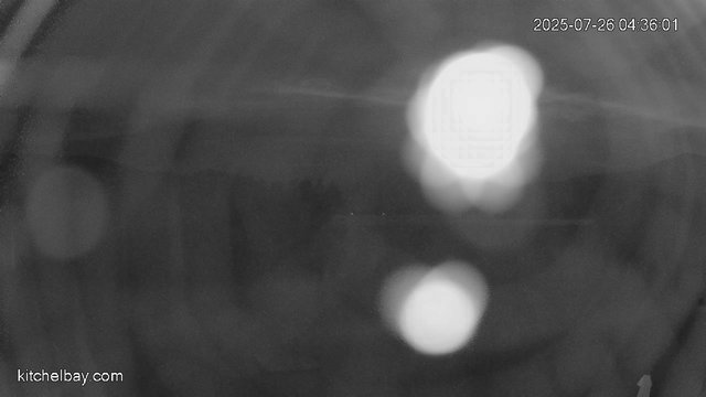 time-lapse frame, kitchelbay.com webcam