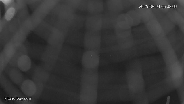 time-lapse frame, kitchelbay.com webcam