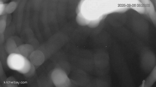 time-lapse frame, kitchelbay.com webcam