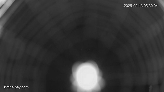 time-lapse frame, kitchelbay.com webcam