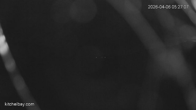 time-lapse frame, kitchelbay.com webcam