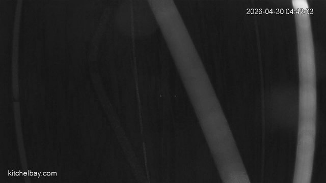 time-lapse frame, kitchelbay.com webcam