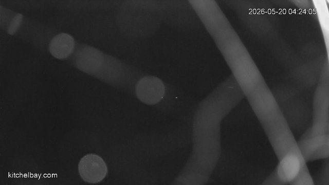 time-lapse frame, kitchelbay.com webcam