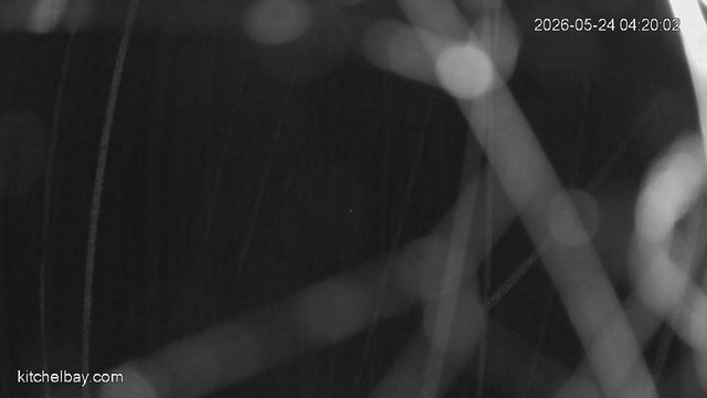 time-lapse frame, kitchelbay.com webcam