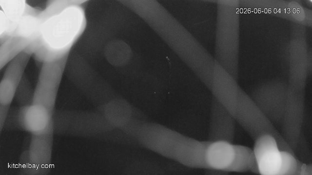 time-lapse frame, kitchelbay.com webcam
