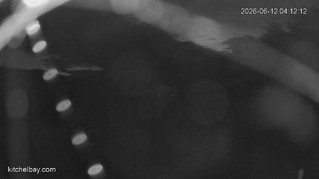 time-lapse frame, kitchelbay.com webcam
