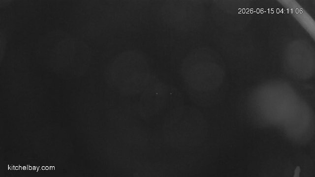 time-lapse frame, kitchelbay.com webcam