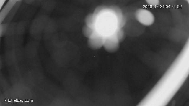 time-lapse frame, kitchelbay.com webcam