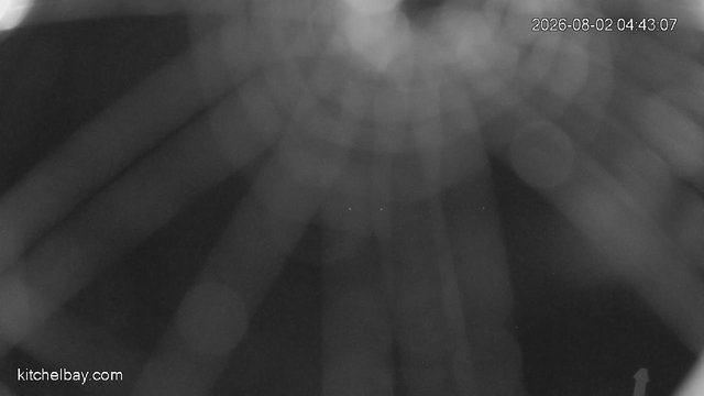 time-lapse frame, kitchelbay.com webcam