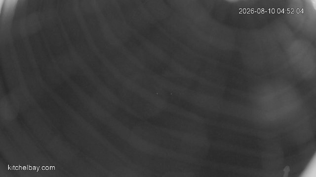 time-lapse frame, kitchelbay.com webcam