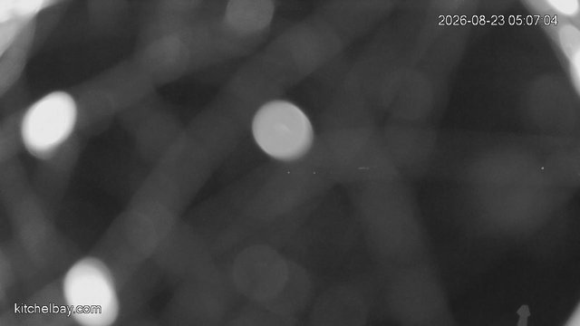 time-lapse frame, kitchelbay.com webcam