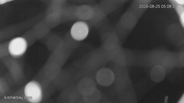 time-lapse frame, kitchelbay.com webcam