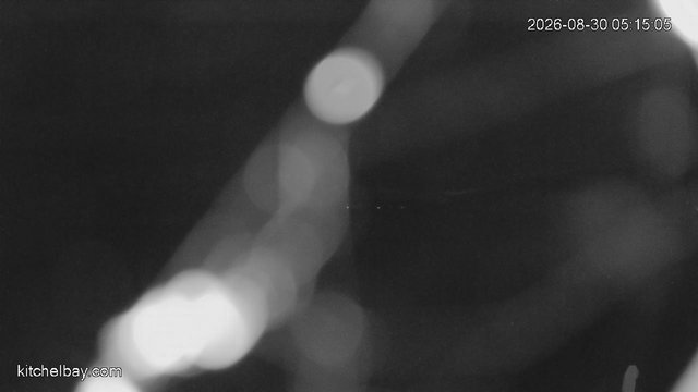 time-lapse frame, kitchelbay.com webcam