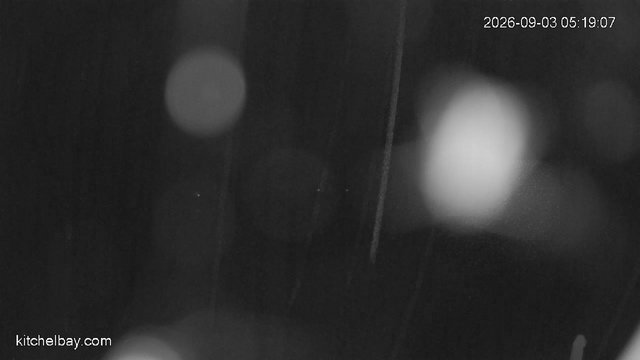 time-lapse frame, kitchelbay.com webcam