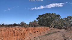 view from CreekCam West on 2025-06-23