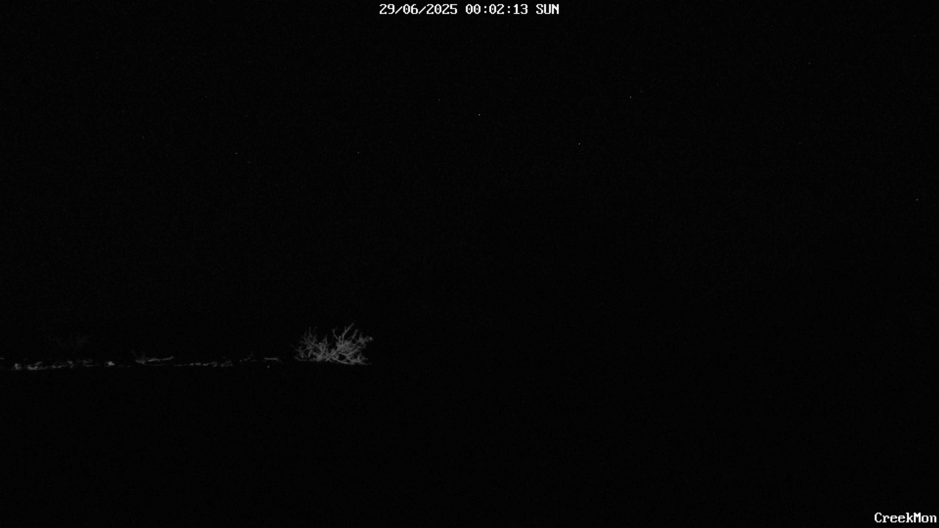 time-lapse frame, CreekCam West webcam
