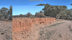 view from CreekCam West on 2025-07-01