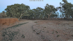 view from CreekCam West on 2025-07-04