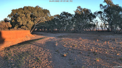 view from CreekCam West on 2025-07-04