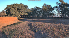view from CreekCam West on 2025-07-04