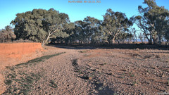view from CreekCam West on 2025-07-04