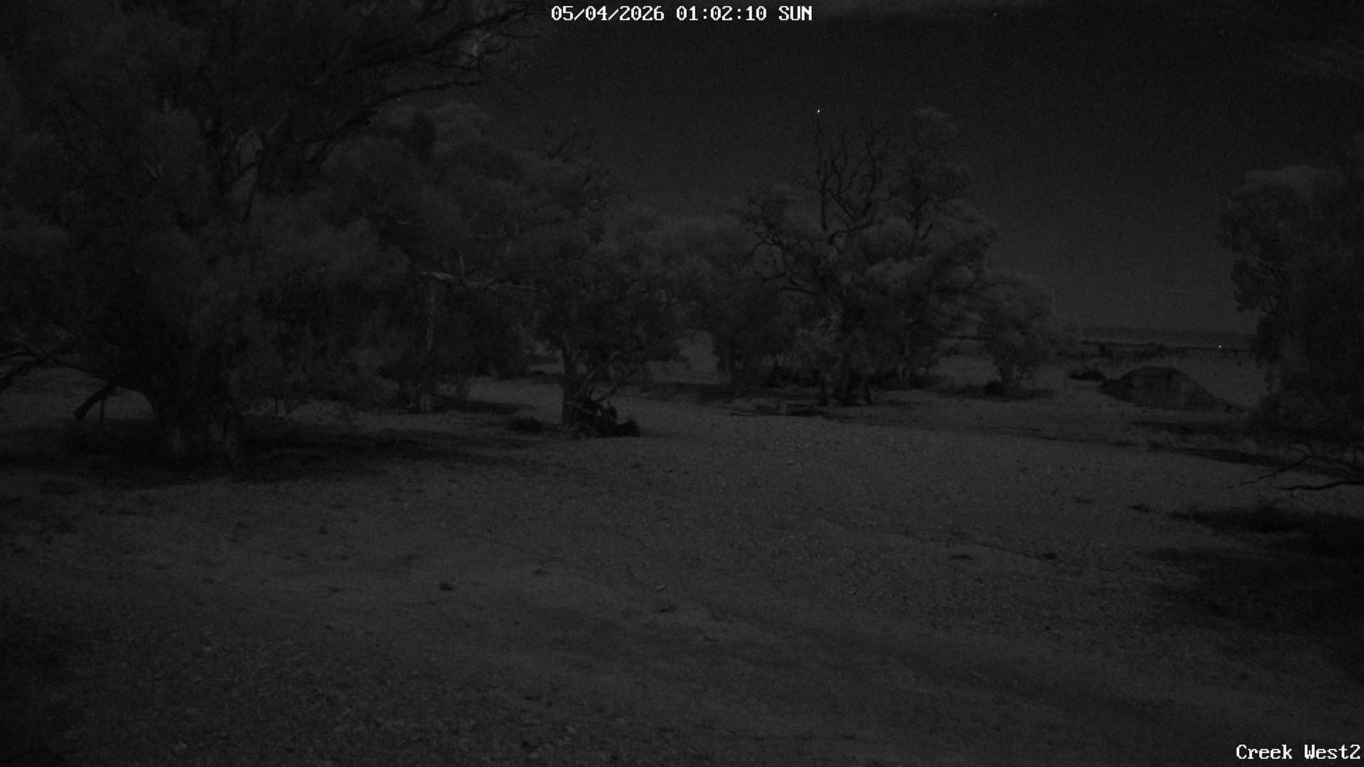 time-lapse frame, CreekCam West webcam