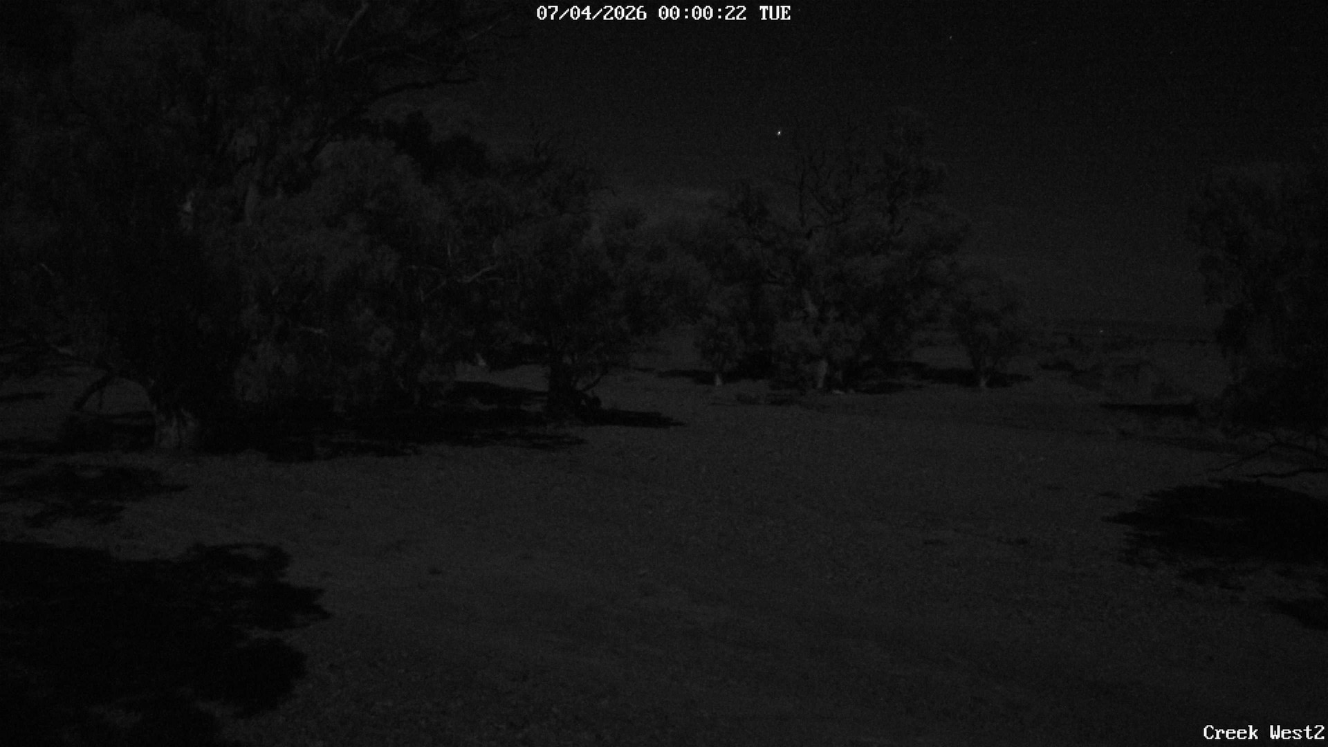 time-lapse frame, CreekCam West webcam