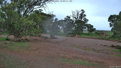 view from CreekCam West on 2026-04-09