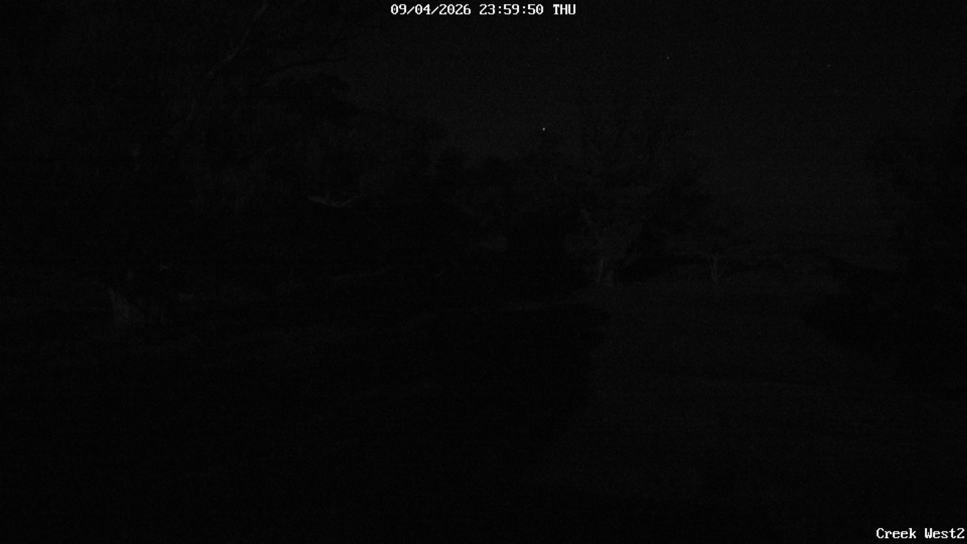 time-lapse frame, CreekCam West webcam