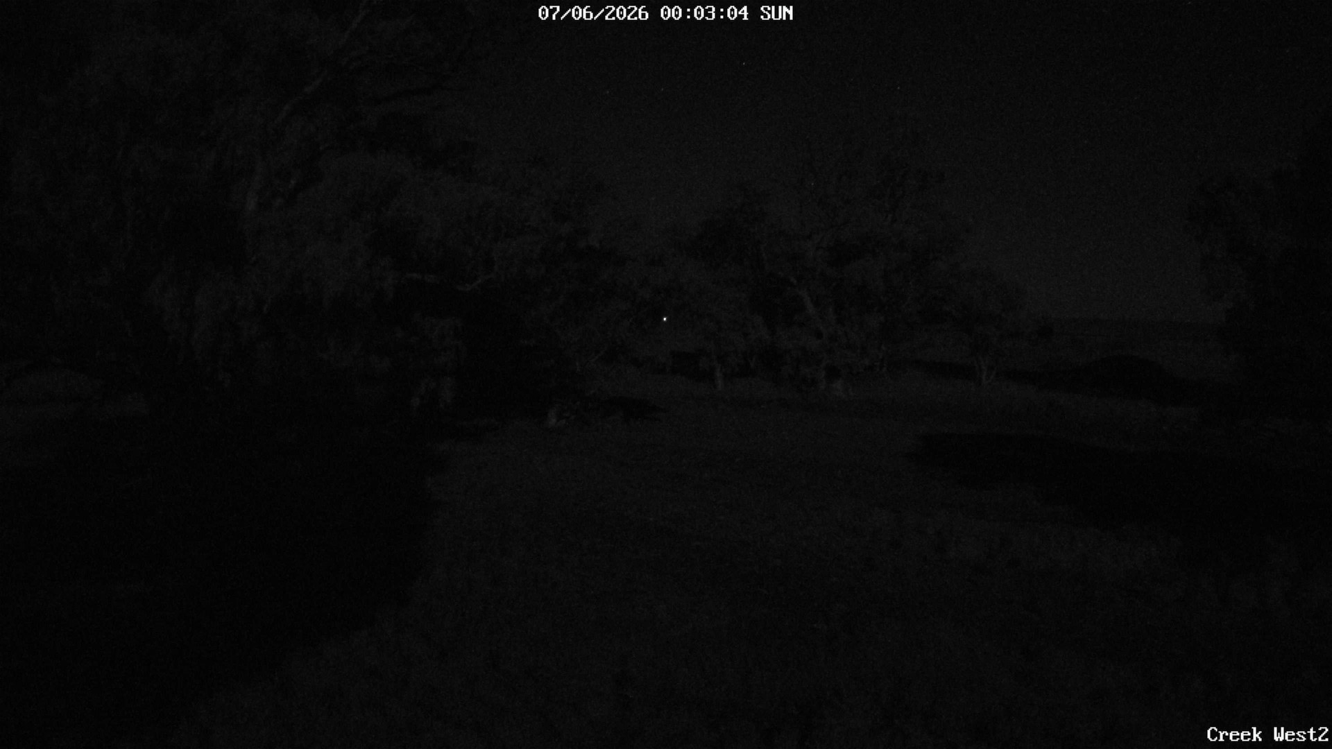 time-lapse frame, CreekCam West webcam
