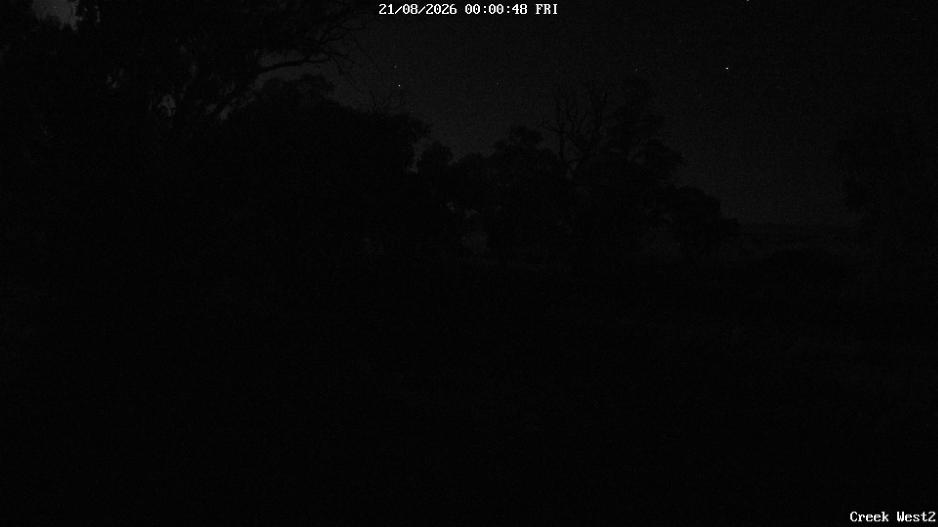 time-lapse frame, CreekCam West webcam