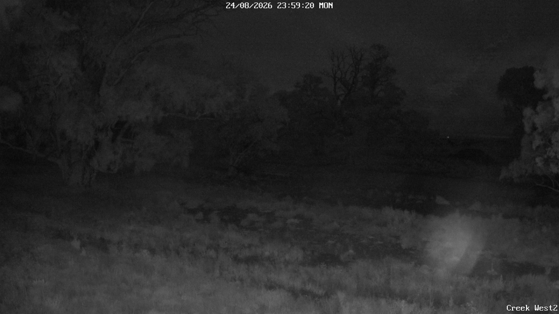 time-lapse frame, CreekCam West webcam