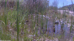 view from Pakoon Springs Stream Side on 2025-05-19