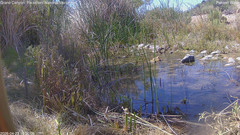 view from Pakoon Springs Stream Side on 2026-04-23