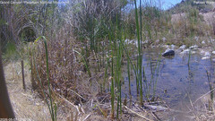view from Pakoon Springs Stream Side on 2026-05-07