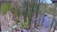 view from Pakoon Springs Stream Side on 2026-07-18